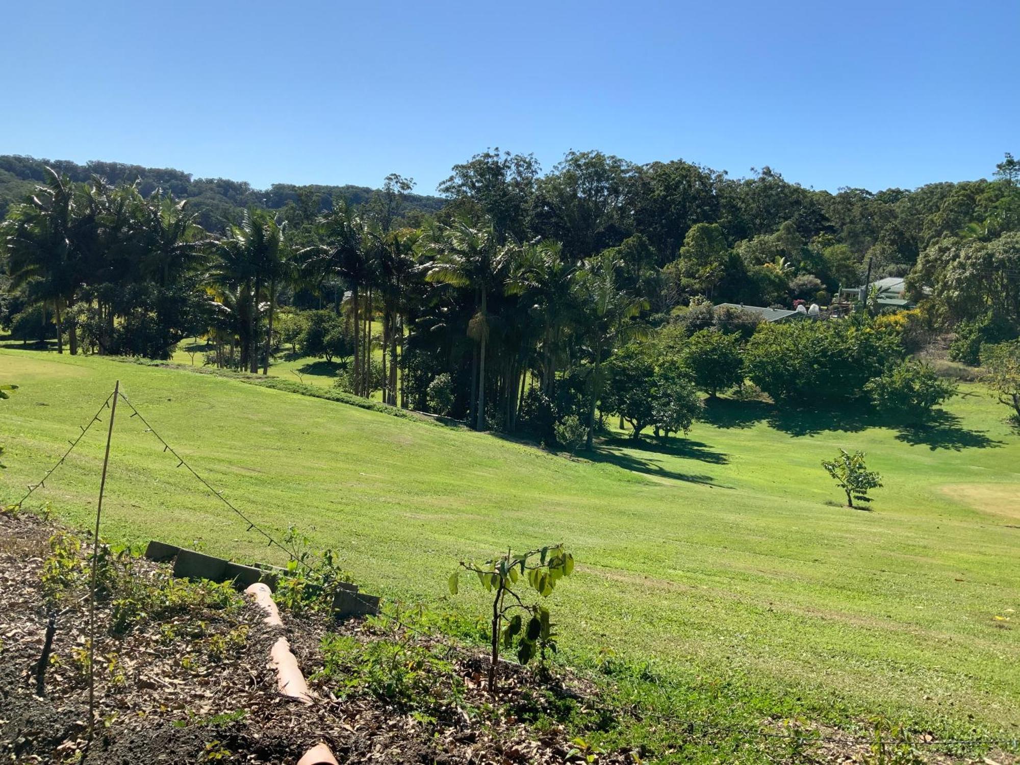 Sunshine Coast Retreat Your Own Private Golf Course Diddillibah Eksteriør billede