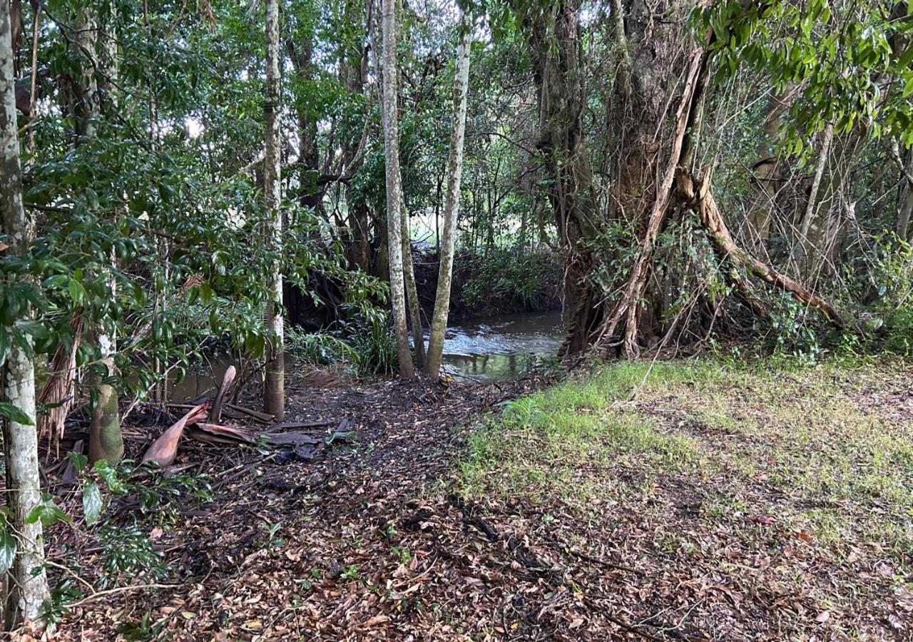 Sunshine Coast Retreat Your Own Private Golf Course Diddillibah Eksteriør billede