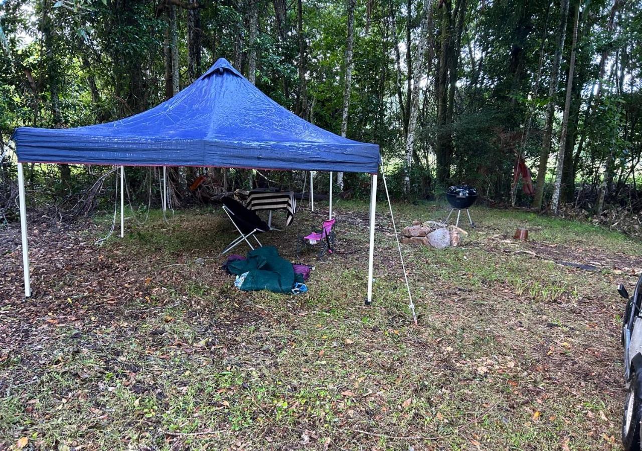 Sunshine Coast Retreat Your Own Private Golf Course Diddillibah Eksteriør billede