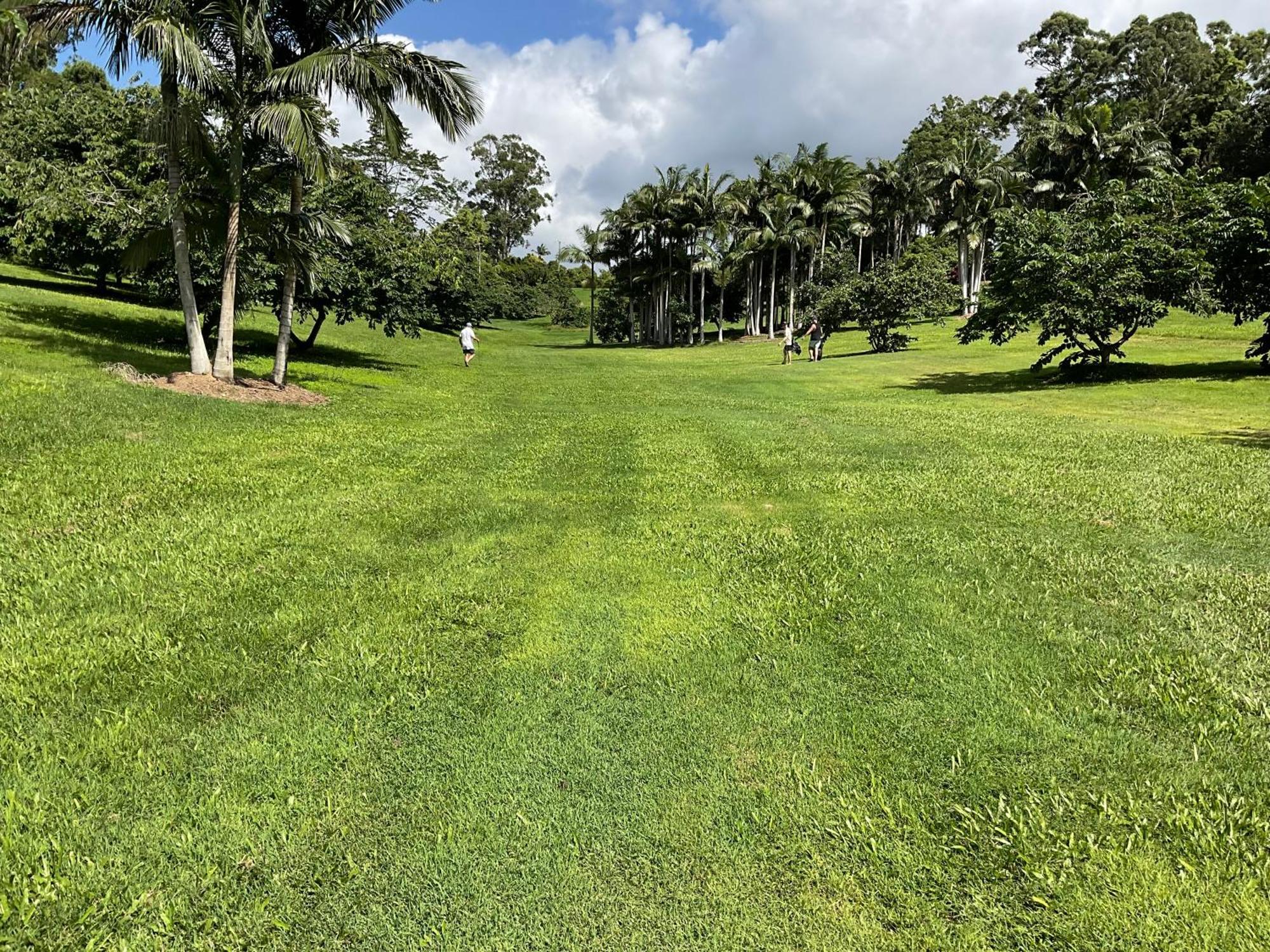 Sunshine Coast Retreat Your Own Private Golf Course Diddillibah Eksteriør billede