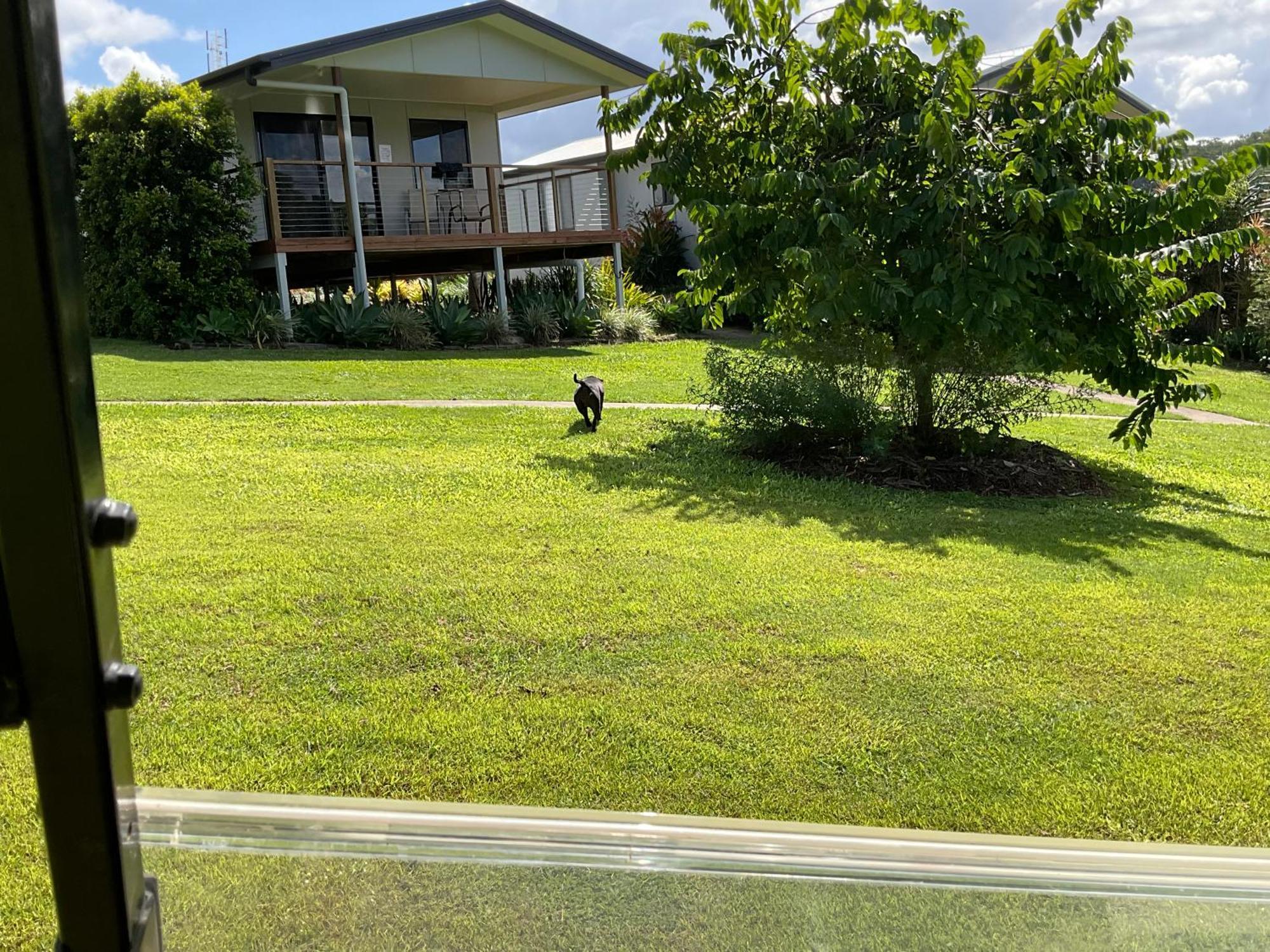 Sunshine Coast Retreat Your Own Private Golf Course Diddillibah Eksteriør billede